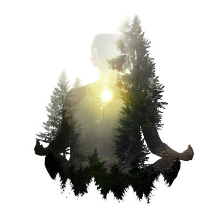 Woman meditating in lotus position against white background. Double exposure with forest at sunrise. Yoga revealing inner worldの写真素材