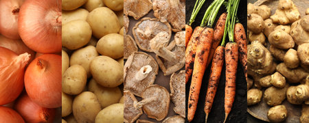 Collection of food products with earthy taste, collageの写真素材