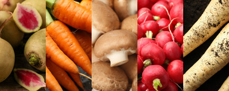 Collection of food products with earthy taste, collageの写真素材