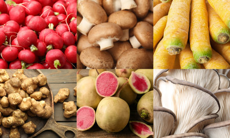 Collection of food products with earthy taste, collageの写真素材