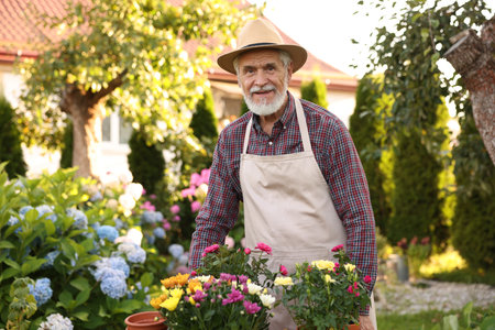 Smiling elderly man in hat and apron with beautiful flowers in gardenの写真素材