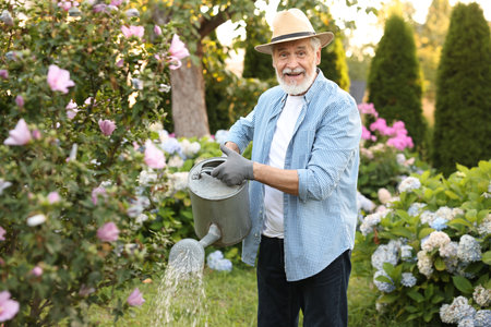 Elderly man in hat watering beautiful flowers with can in gardenの写真素材