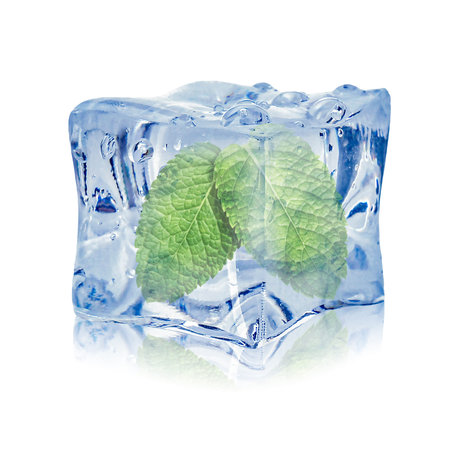 Fresh mint leaves inside clear ice cube on white backgroundの写真素材
