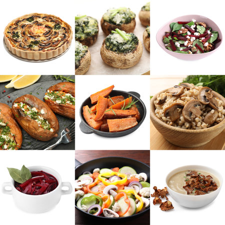 Collection of dishes with earthy taste, collageの写真素材