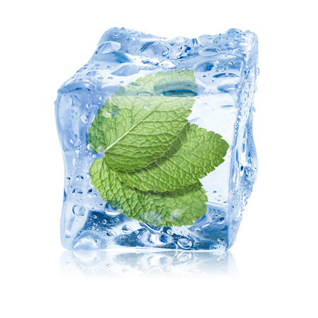 Fresh mint leaves inside clear ice cube on white backgroundの写真素材