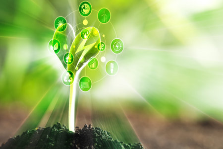 Electricity and nature. Green plant with lightning symbol in soil outdoors. Scheme with different...