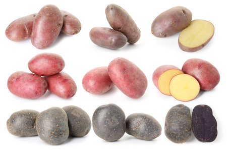 Different types of raw potatoes isolated on white, collage. Whole and cutの写真素材