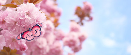 Spring vibes. Beautiful butterfly sitting on pink tree blossoms outdoors. Banner designの写真素材