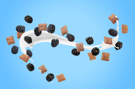 Splashing milk with sweet corn pads and fresh blackberries in air against light blue background. Healthy breakfastの写真素材