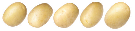Fresh raw potatoes isolated on white, setの写真素材