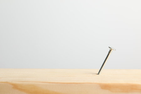 Metal nails in wooden plank on light gray background, closeup. Space for text