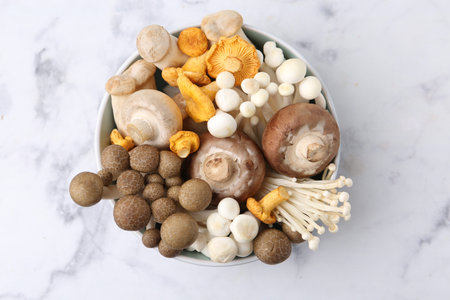 Different raw mushrooms in bowl on light marble table, top viewの写真素材
