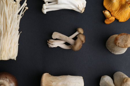 Different raw mushrooms on black background, flat layの写真素材