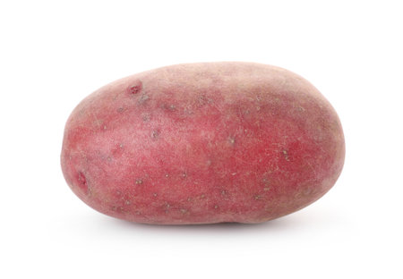 Fresh ripe red potato isolated on whiteの写真素材