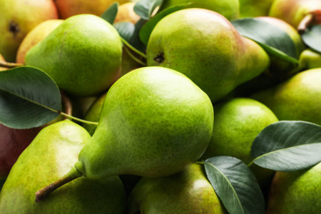whole Many ripe pears as background, closeupの写真素材