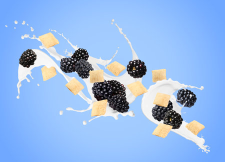 Splashing milk with sweet corn pads and fresh blackberries in air against light blue background. Healthy breakfastの写真素材