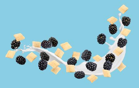 Splashing milk with sweet corn pads and fresh blackberries in air against light blue background. Healthy breakfastの写真素材