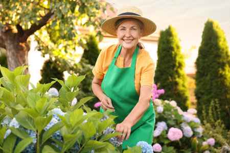 Portrait of smiling senior woman in hat and apron with flowers in gardenの写真素材