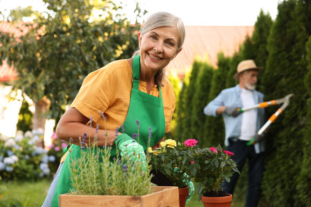 Senior couple working with plants in garden, selective focusの写真素材