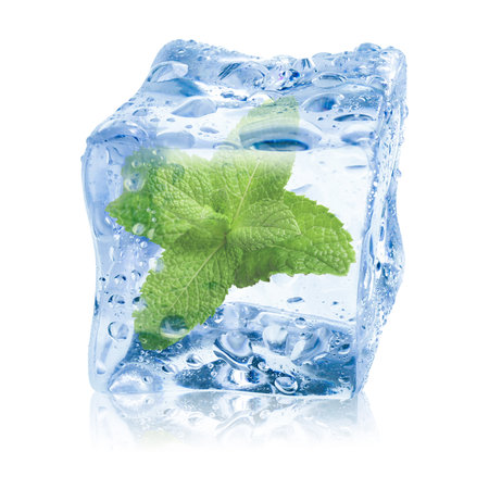 Fresh mint leaves inside clear ice cube on white backgroundの写真素材