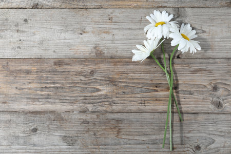 Beautiful chamomile flowers on wooden table, flat lay. Space for textの写真素材