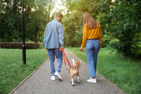 Couple walking with adorable Beagle dog in park, back viewの写真素材