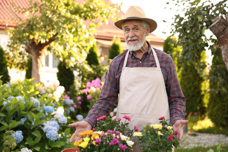 Elderly man in hat and apron with beautiful flowers in gardenの写真素材