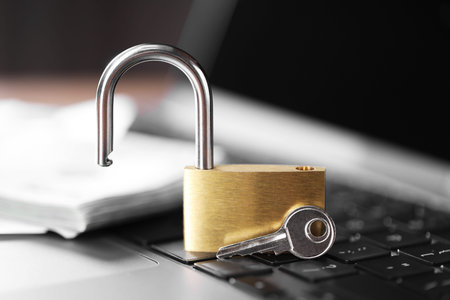 Cyber safety. Metal padlock, dollar banknotes and key on laptop, closeup