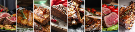 Tasty cooked meat dishes, collage of pictures. Banner designの写真素材