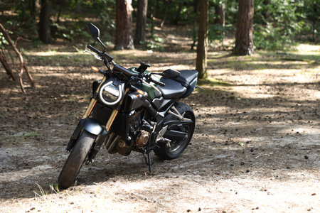 One modern black motorcycle parked in forest
