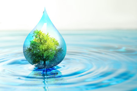 Save water concept. Drop with green tree inside falling into waterの写真素材