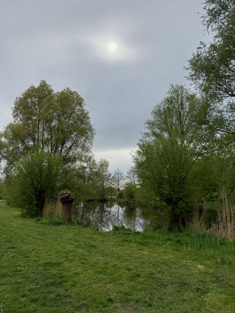 View of pond, trees and green grass in beautiful park