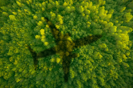 Flying airplane casting shadow on forest, top view