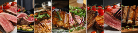 Tasty cooked meat dishes, collage of pictures. Banner designの写真素材