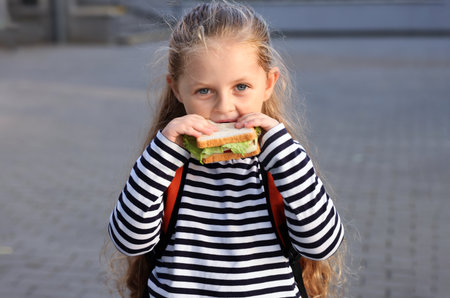Cute little girl eating sandwich outdoors. School lunchの写真素材