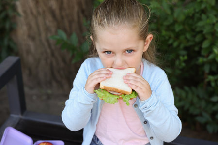 Cute little girl eating sandwich on bench outdoors. School lunchの写真素材