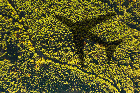 Flying airplane casting shadow on forest, top view