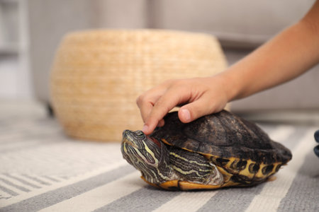 Little boy stroking his turtle pet on floor at home, closeup. Space for text
