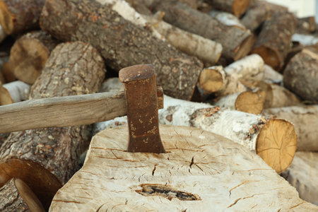 Ax in stump and pile of cut firewood outdoors, closeup