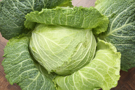 One fresh Savoy cabbage on wooden table, top view