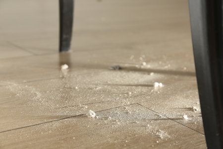 Clumps of dust on wooden floor indoors, closeupの写真素材