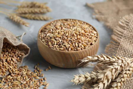 Wheat grain and spikes on light gray table, closeup