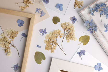 Beautiful dry flowers, green leaves and picture frame elements on white background, flat layの写真素材