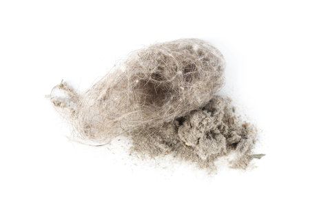 Small clumps of dust isolated on white, top view