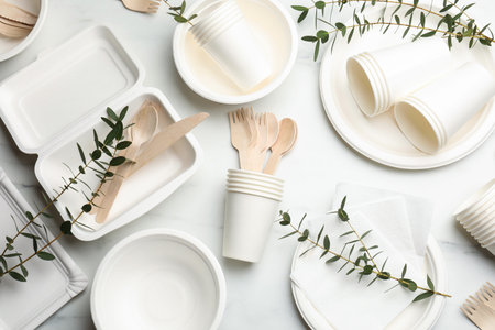 Set of disposable tableware and eucalyptus branches on white table, flat lay