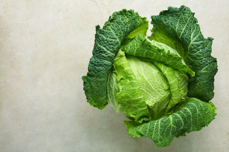 Fresh Savoy cabbage on light gray table, top view. Space for text