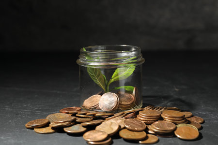 Glass jar with coins and sprout on black table, closeup