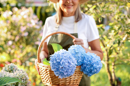 Senior woman with wicker basket of flowers in garden, closeup
