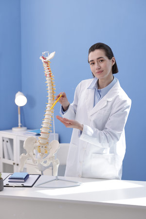 Doctor pointing at sections of human spine model at desk in clinicの写真素材