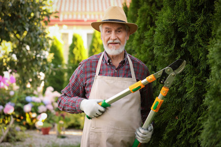 Elderly man in hat and apron with manual hedge trimmer working in garden